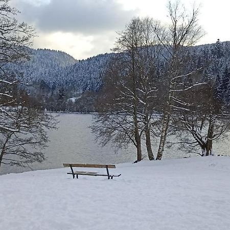 종루프 롱지메르 A 2 Pas Du Lac 아파트 외부 사진